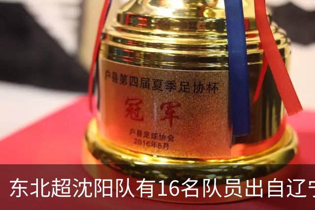 东北超沈阳队有16名队员出自辽宁铁人青训，前两场球队一共进4球